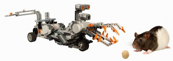 LEGO Mindstorms robot programmed to simulate predatory attack on a rat seeking food LEGO Mindstorms robot programmed to simulate predatory attack on a rat seeking food